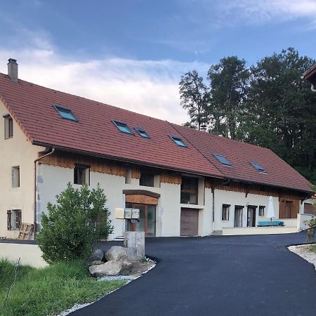 Ferienwohnung T4 Meuble De 105M2 Axe Annecy-Geneve Saint-Martin-Bellevue Exterior foto